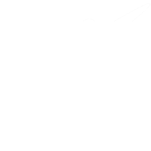 einhorn bikes Logo